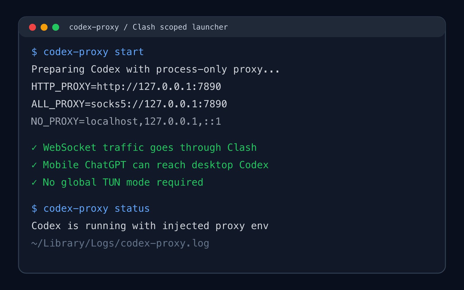 codex-proxy 终端代理启动示意