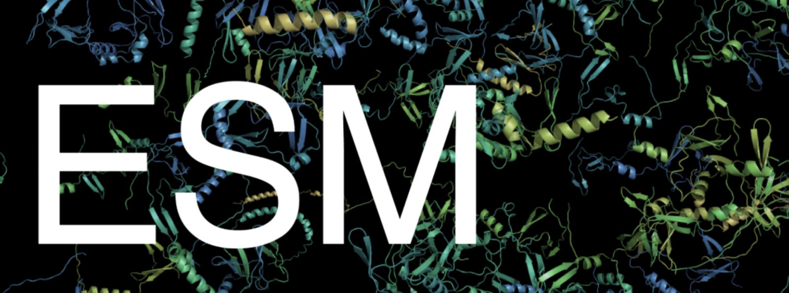 ESM 蛋白质世界模型官方视觉