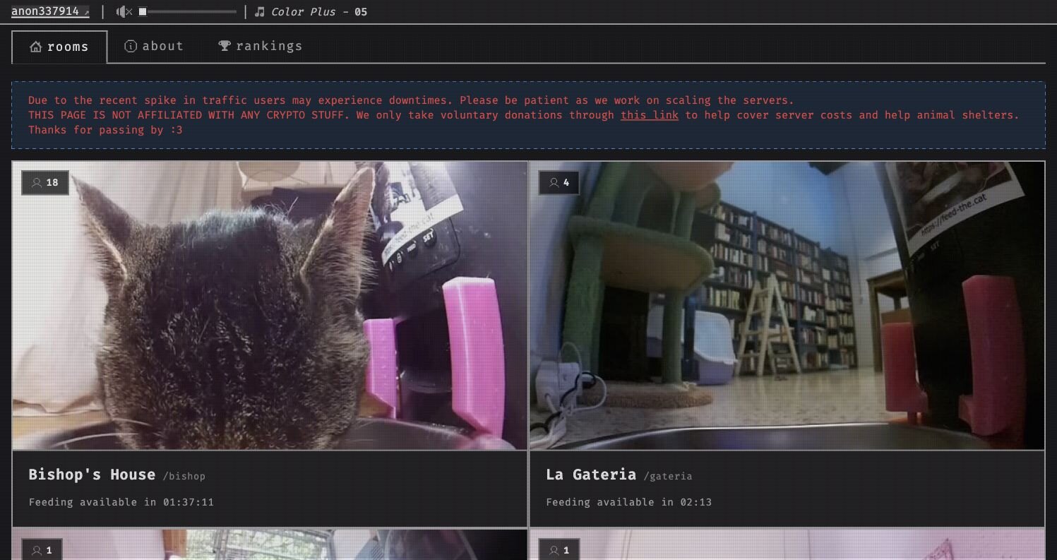 Feed The Cat 页面截图