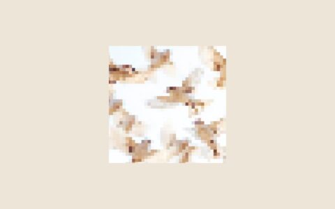 「flock」原生 macOS 多会话工作台：把多个 Claude Code 和 shell pane 放进一个窗口