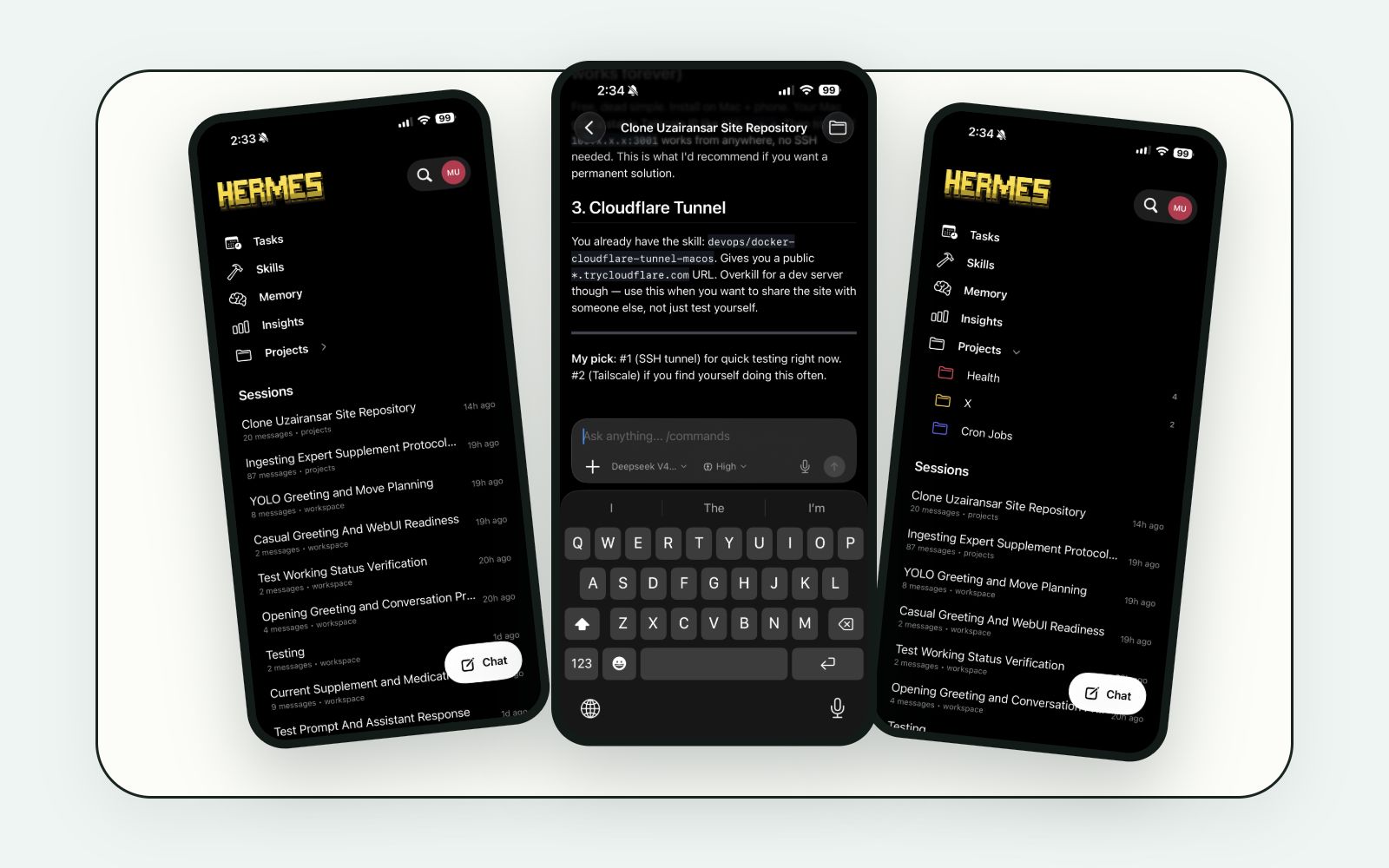 Hermes Agent Mobile iPhone 客户端界面截图