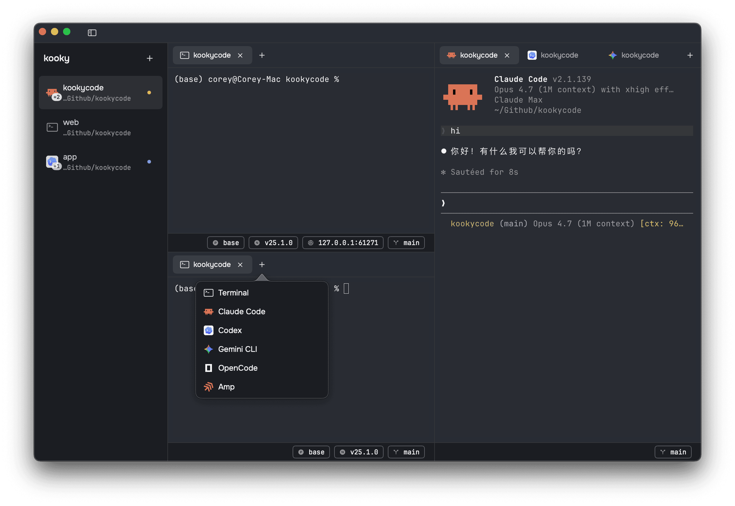 Kooky 的 macOS 终端界面,侧边栏工作区中并排运行 Claude Code 和 Codex