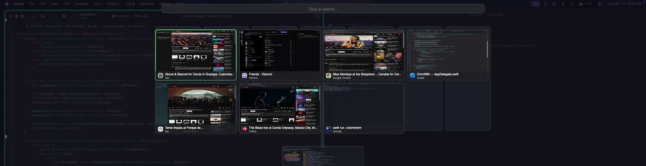 OmniWM 窗口概览界面