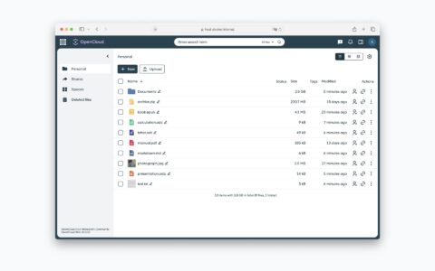 「OpenCloud Web」开源云盘前端：文件管理、共享链接、协作文档和可扩展插件平台