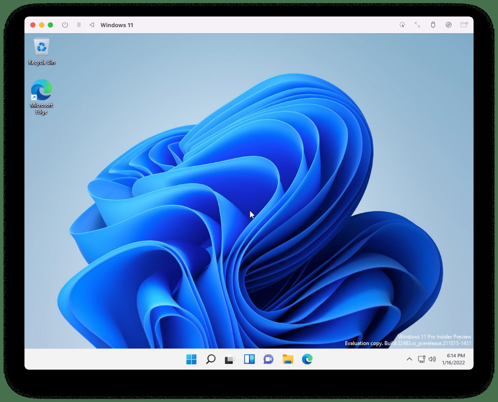 UTM Windows virtual machine