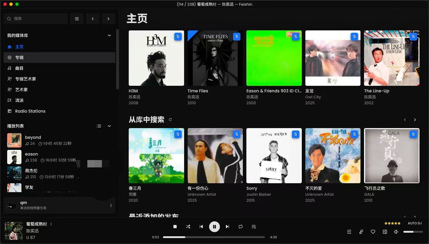 QM-Music Feishin 客户端界面预览图